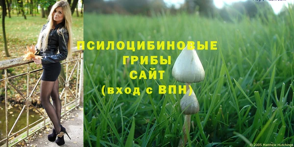 прущие грибы Балабаново