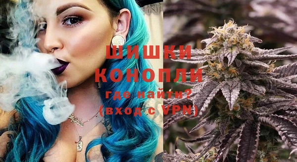 прущие грибы Балабаново