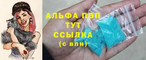 прущие грибы Балабаново