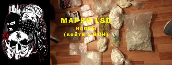 прущие грибы Балабаново