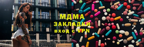 прущие грибы Балабаново