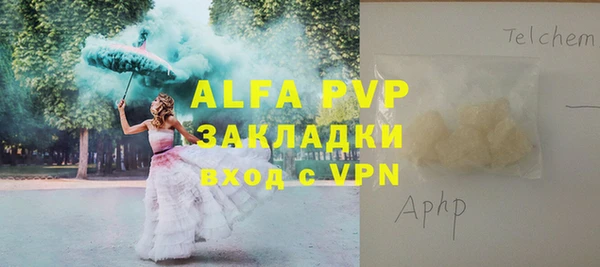 прущие грибы Балабаново