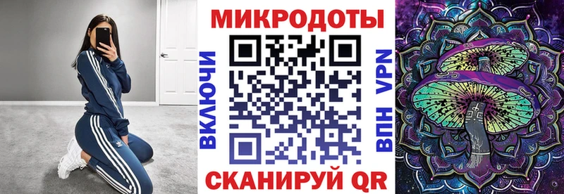 Псилоцибиновые грибы Psilocybe  Болотное 