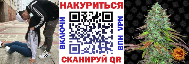 Канабис OG Kush  Болотное 